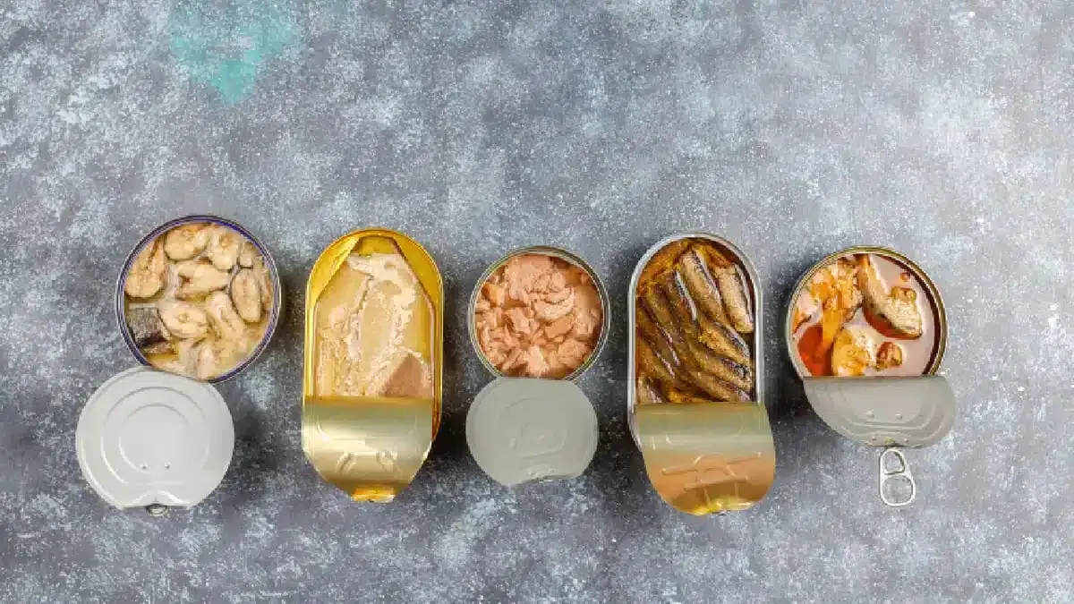 Geöffnete Konservendosen: Zeitkapseln der Ozeangeschichte